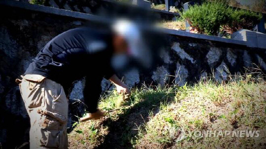 연합뉴스TV 캡처, 연합뉴스